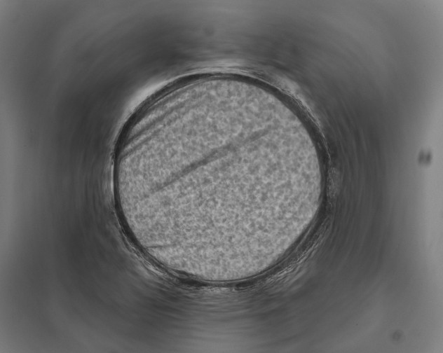 X0000097631320200803281050