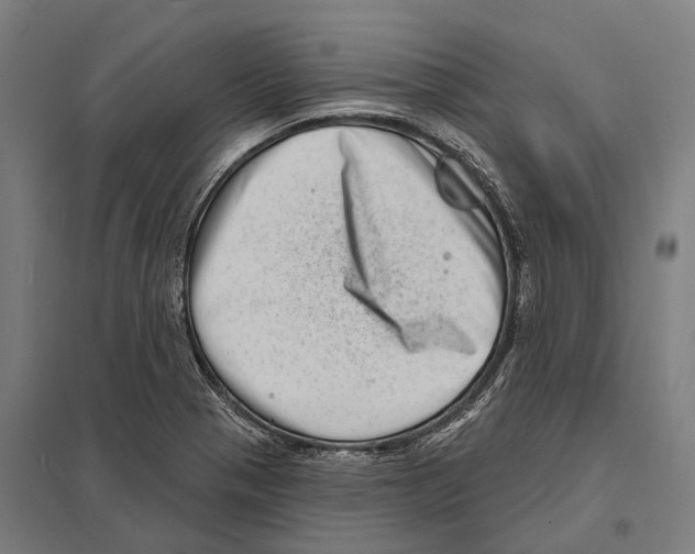 X0000097631321200803281050
