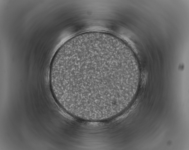 X0000097631322200803281050