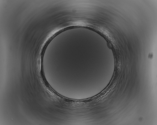 X0000097631323200803281050