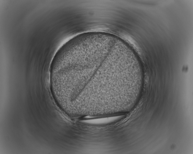 X0000097631324200803281050