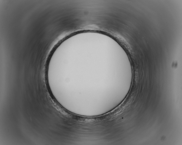 X0000097631326200803281050