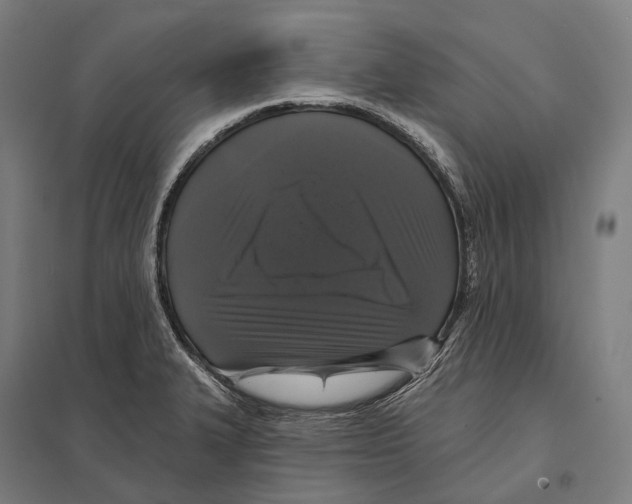 X0000097631327200803281050