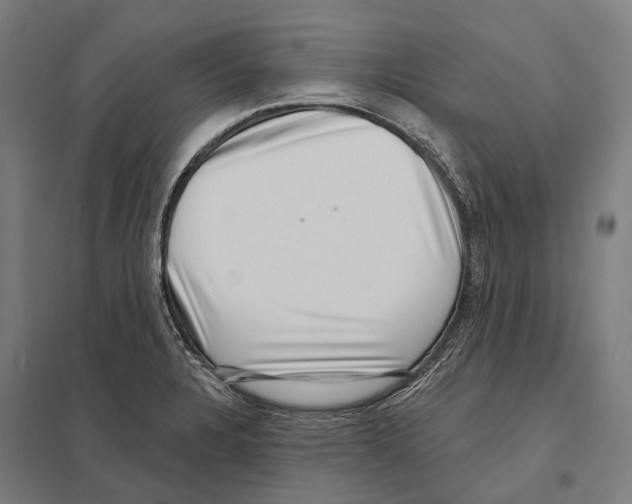 X0000097631328200803281050