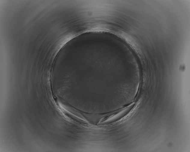 X0000097631329200803281050
