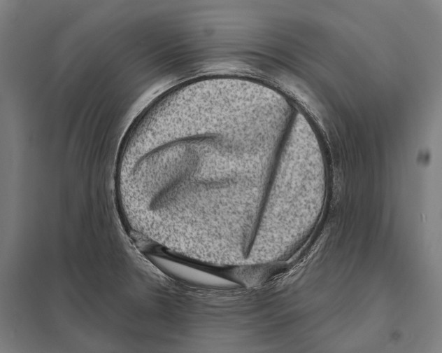 X0000097631330200803281050