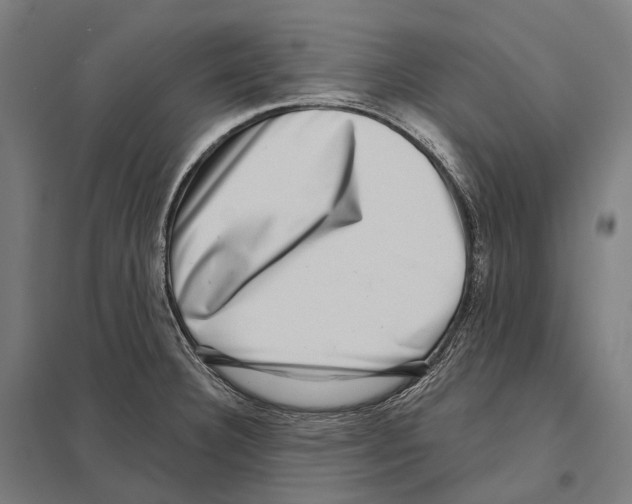X0000097631332200803281050