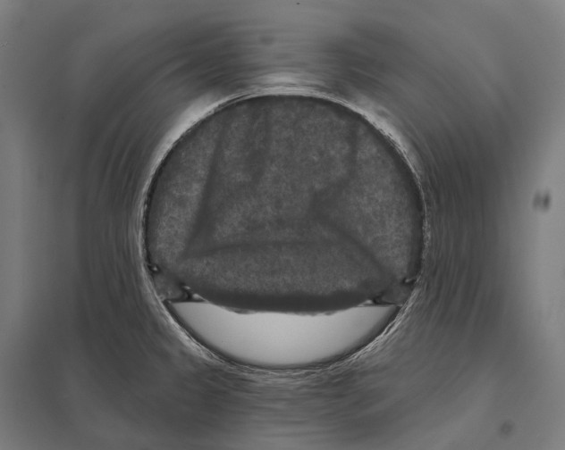 X0000097631333200803281050