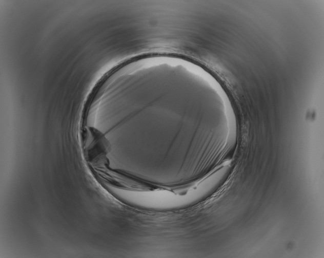 X0000097631334200803281050