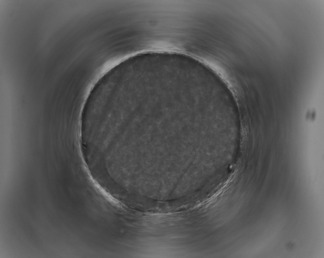 X0000097631335200803281050