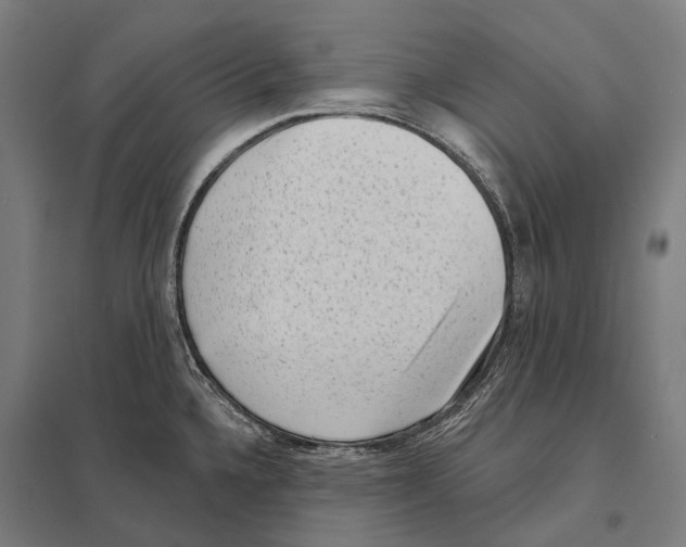 X0000097631336200803281050