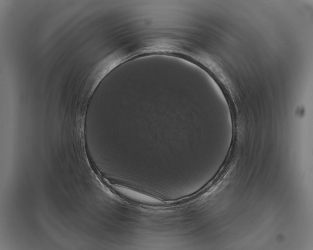 X0000097631337200803281050