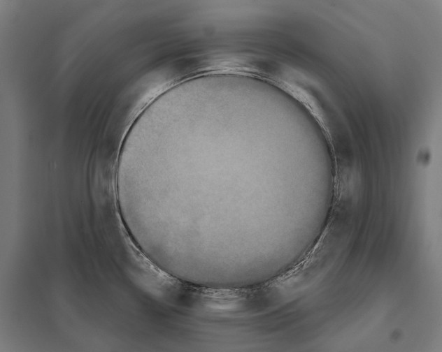 X0000097631338200803281050