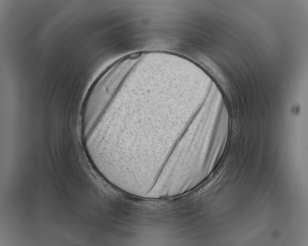 X0000097631340200803281050