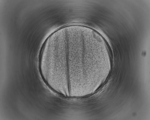 X0000097631341200803281050