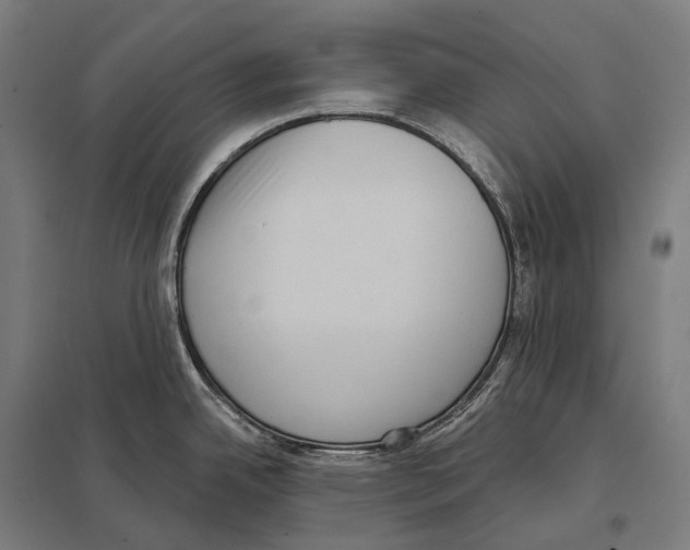 X0000097631342200803281050