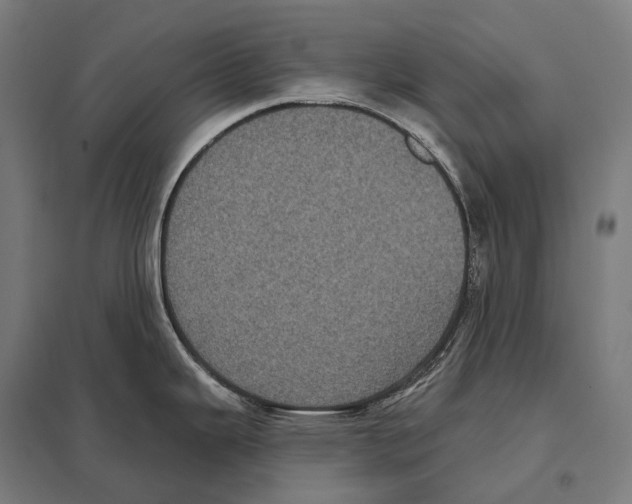 X0000097631343200803281050