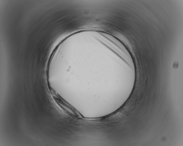 X0000097631344200803281050