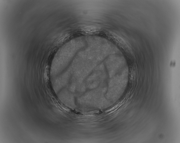 X0000097631346200803281050