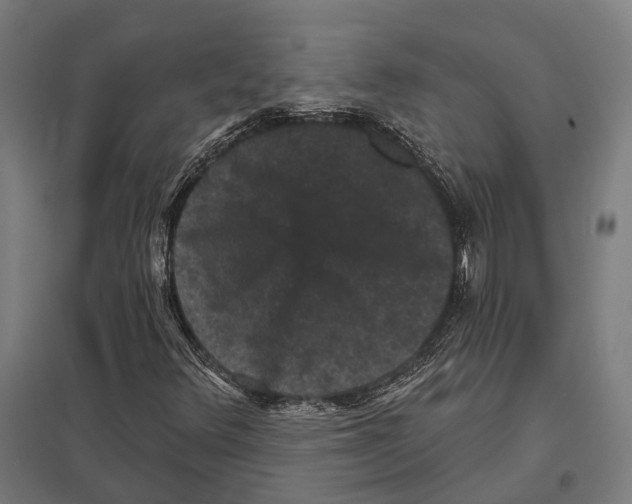 X0000097631348200803281050