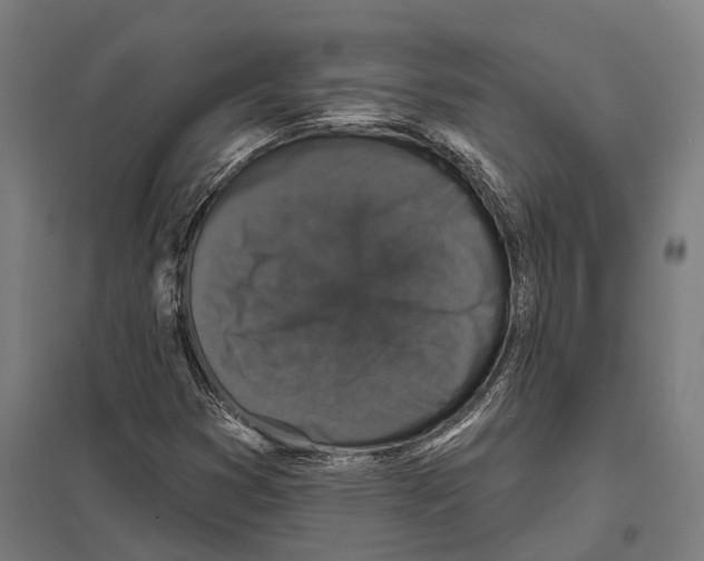 X0000097631353200803281050