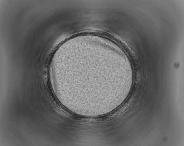 X0000097631355200803281050
