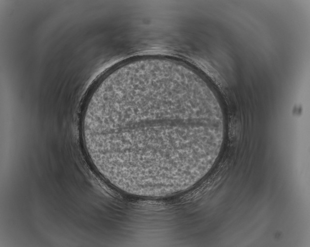 X0000097631356200803281050