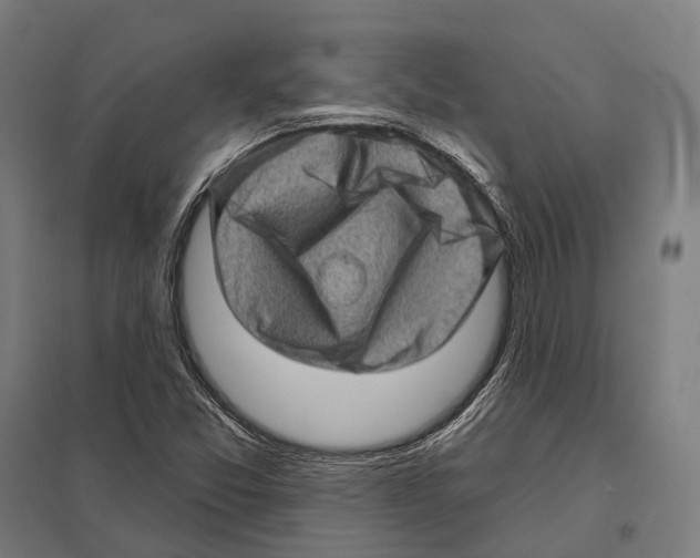 X0000097631357200803281050