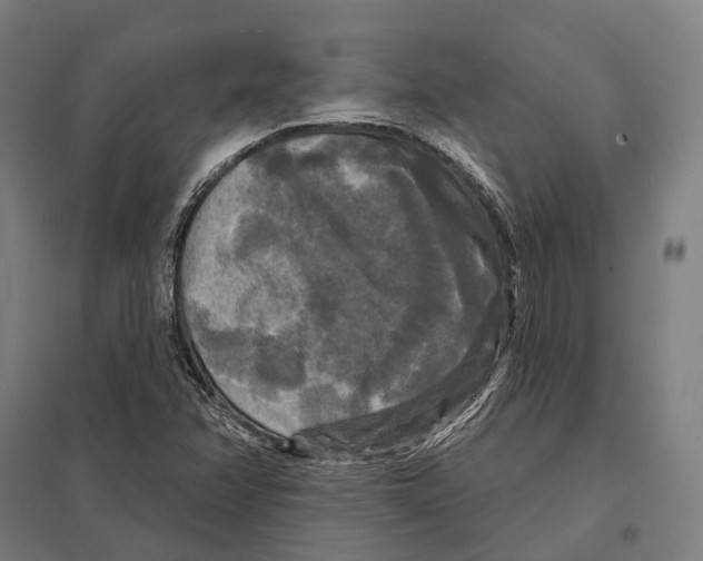 X0000097631358200803281050