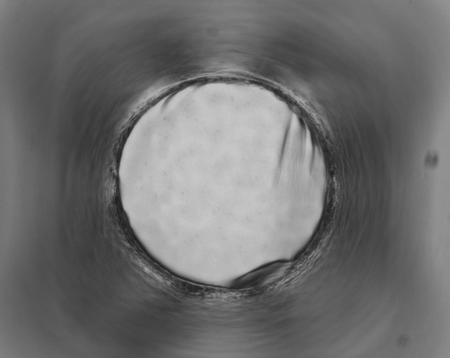 X0000097631363200803281050