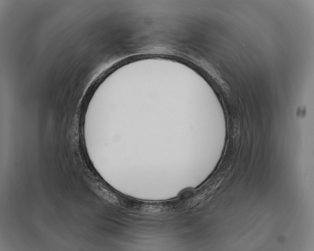 X0000097631364200803281050