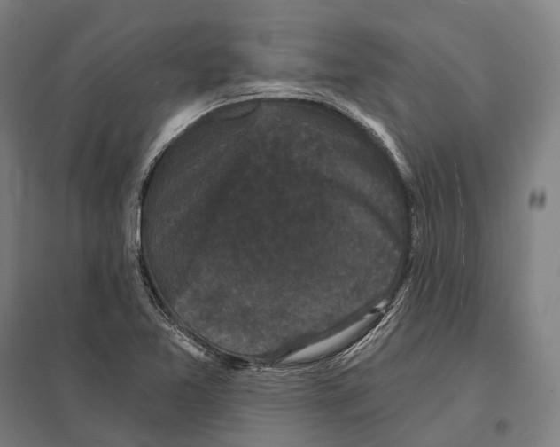 X0000097631365200803281050
