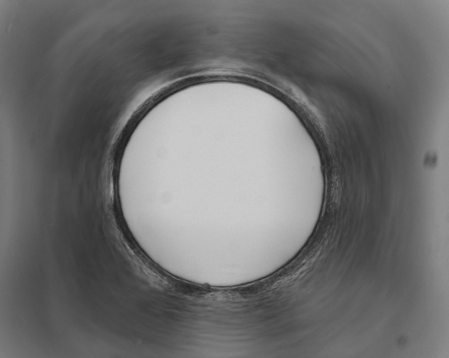 X0000097631368200803281050