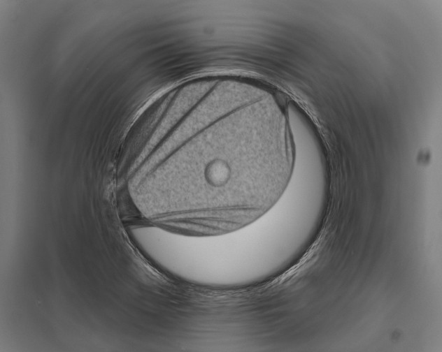 X0000097631369200803281050