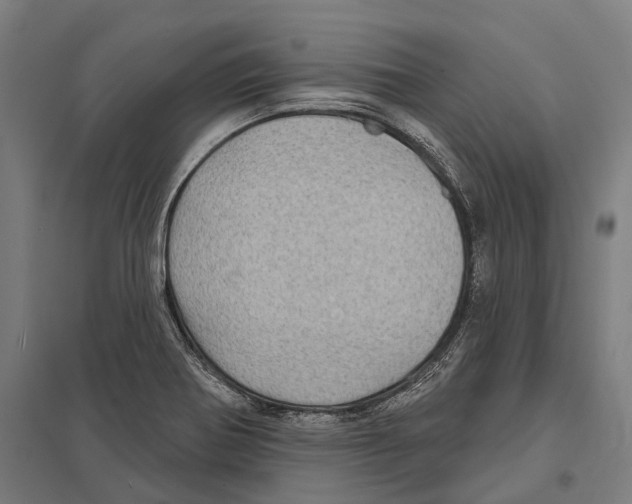 X0000097631370200803281049