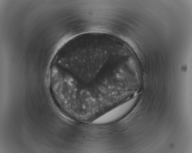 X0000097631371200803281049