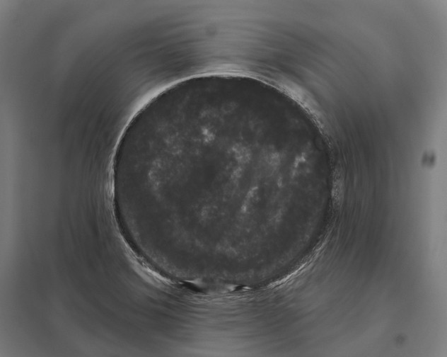 X0000097631372200803281049