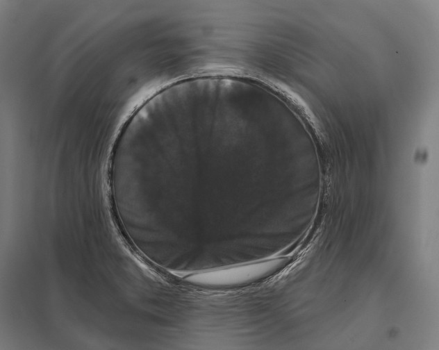 X0000097631373200803281049
