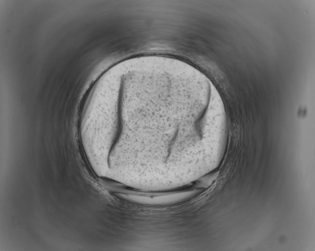 X0000097631374200803281049