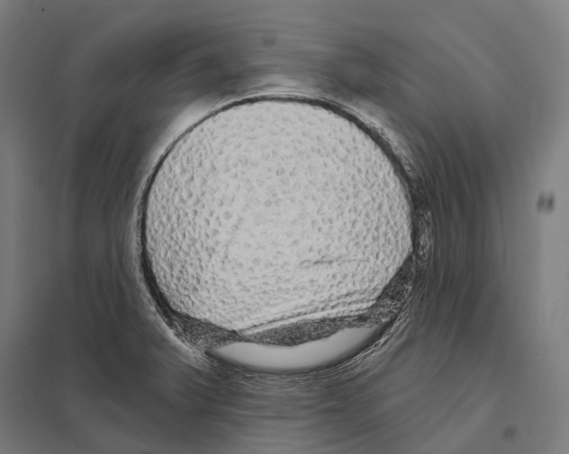 X0000097631375200803281049