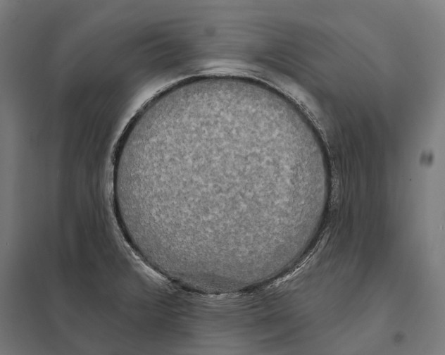 X0000097631376200803281049