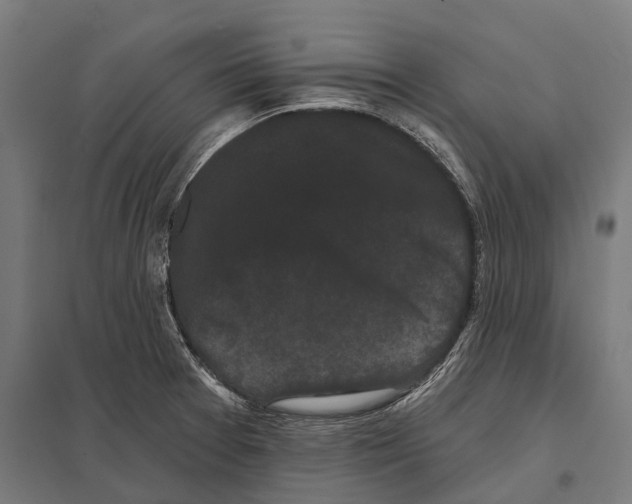 X0000097631377200803281049