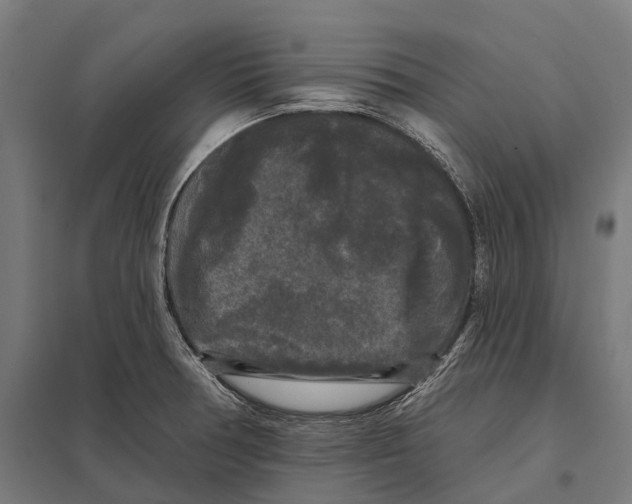 X0000097631378200803281049