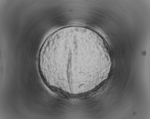 X0000097631379200803281049