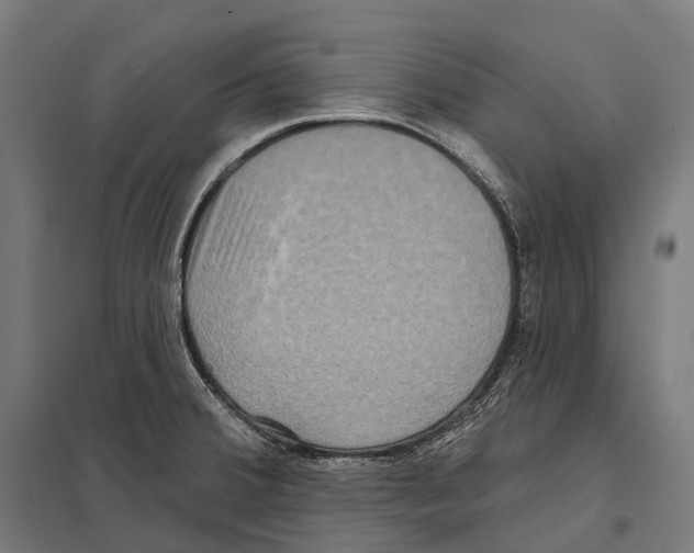 X0000097631380200803281049