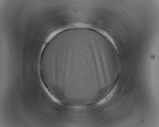 X0000097631381200803281049