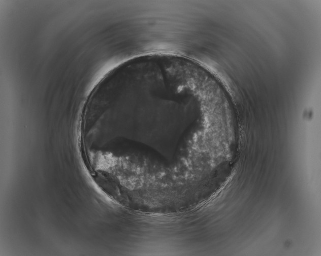 X0000097631383200803281049