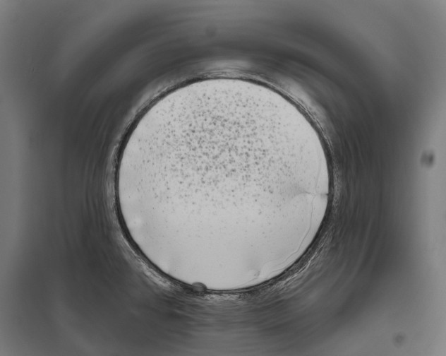 X0000097631384200803281049