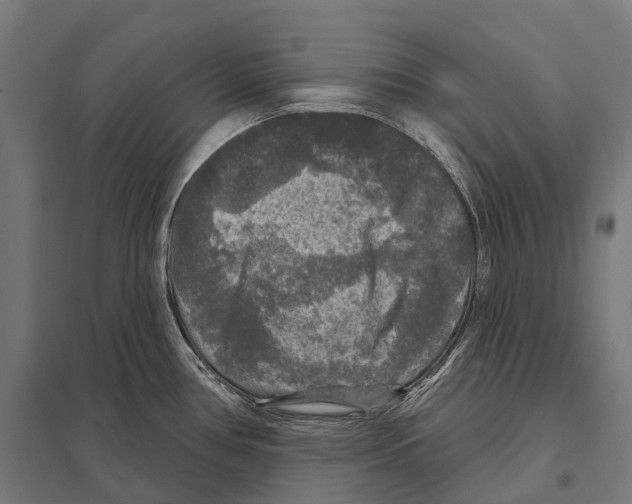 X0000097631386200803281049
