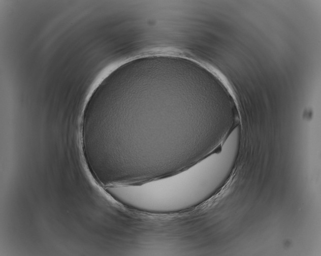 X0000097631389200803281049